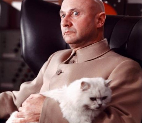 Blofeld with cat